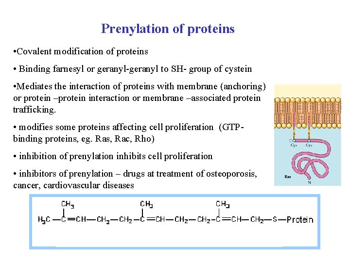 Prenylation of proteins • Covalent modification of proteins • Binding farnesyl or geranyl-geranyl to