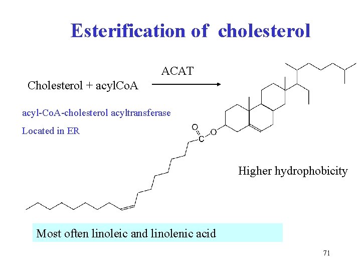 Esterification of cholesterol ACAT Cholesterol + acyl. Co. A acyl-Co. A-cholesterol acyltransferase Located in