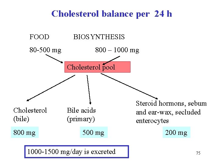 Cholesterol balance per 24 h FOOD 80 -500 mg BIOSYNTHESIS 800 – 1000 mg