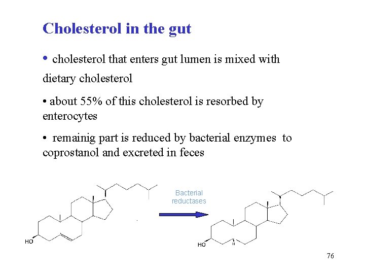 Cholesterol in the gut • cholesterol that enters gut lumen is mixed with dietary