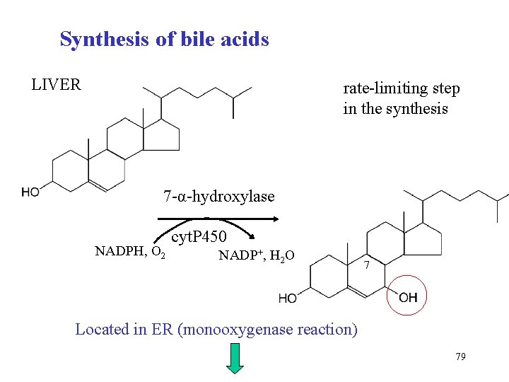 Synthesis of bile acids LIVER rate-limiting step in the synthesis 7 -α-hydroxylase NADPH, O