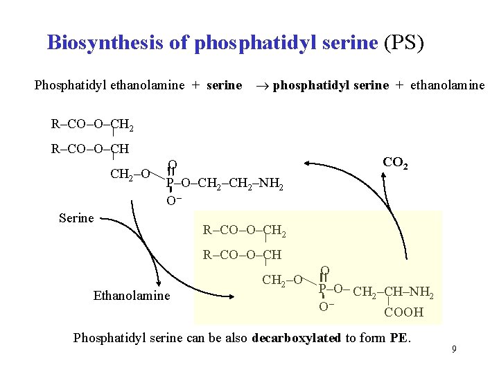 Biosynthesis of phosphatidyl serine (PS) Phosphatidyl ethanolamine + serine phosphatidyl serine + ethanolamine R–CO–O–CH