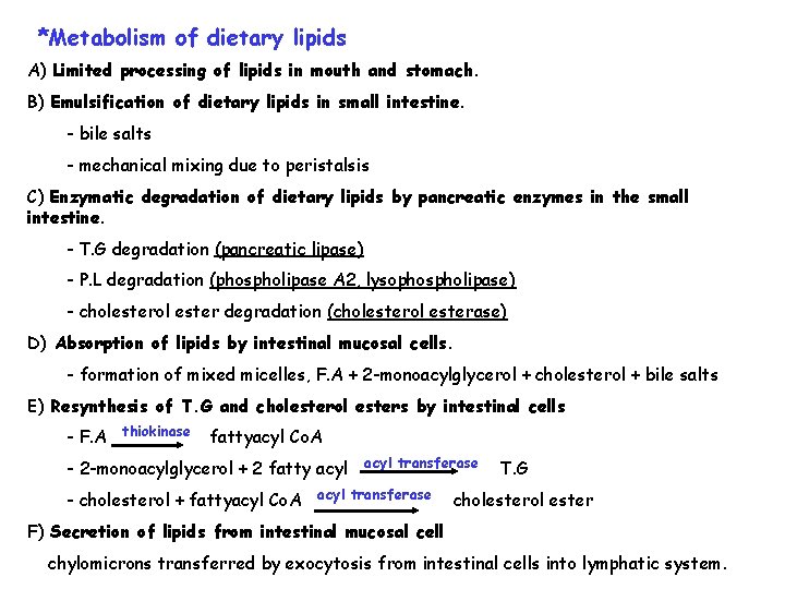 *Metabolism of dietary lipids A) Limited processing of lipids in mouth and stomach. B)