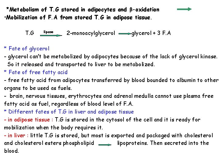 *Metabolism of T. G stored in adipocytes and -oxidation • Mobilization of F. A