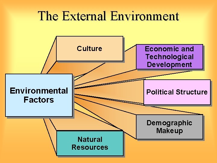 The External Environment Culture Environmental Factors Economic and Technological Development Political Structure Demographic Makeup