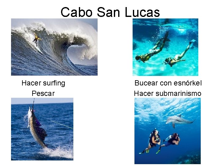 Cabo San Lucas Hacer surfing Pescar Bucear con esnórkel Hacer submarinismo 