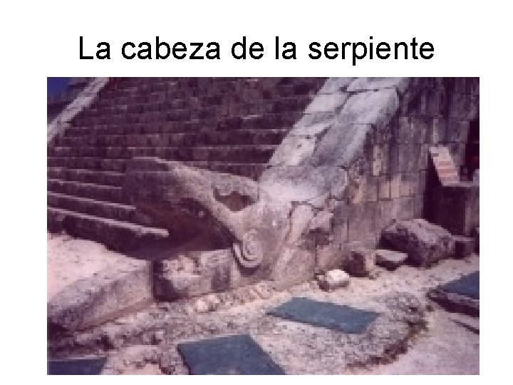 La cabeza de la serpiente 