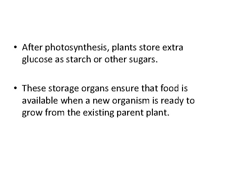  • After photosynthesis, plants store extra glucose as starch or other sugars. •