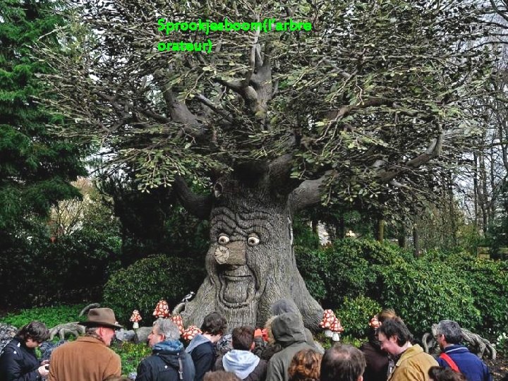 Sprookjesboom(l’arbre orateur) 