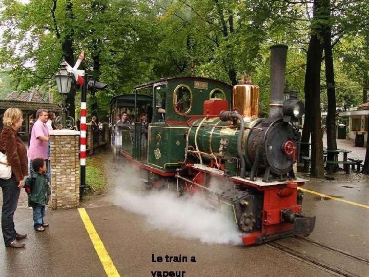 Le train a vapeur 