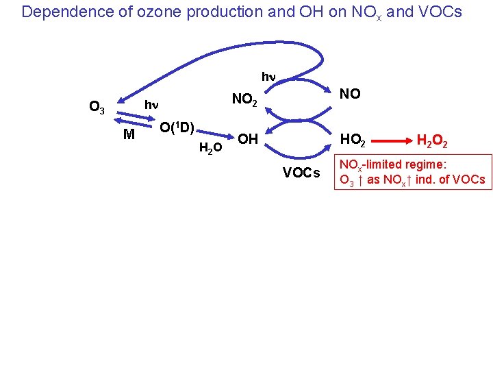 Dependence of ozone production and OH on NOx and VOCs hn hn O 3
