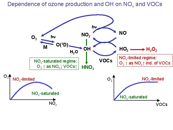 Dependence of ozone production and OH on NOx and VOCs hn hn O 3
