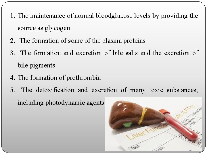 1. The maintenance of normal bloodglucose levels by providing the source as glycogen 2.
