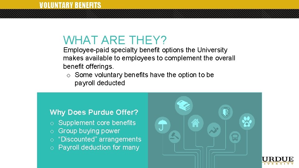 VOLUNTARY BENEFITS WHAT ARE THEY? Employee-paid specialty benefit options the University makes available to