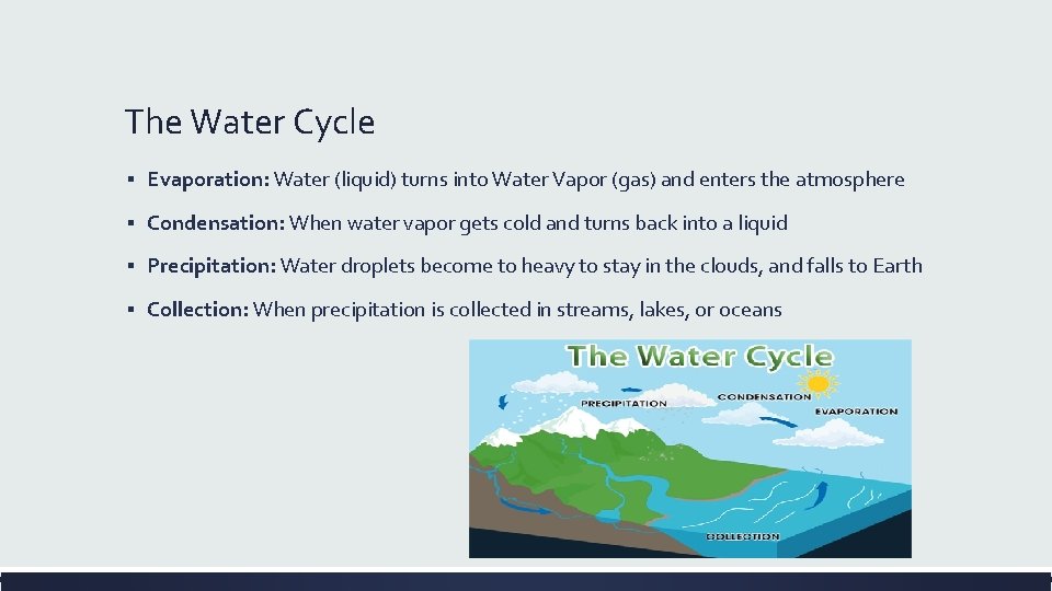 The Water Cycle ▪ Evaporation: Water (liquid) turns into Water Vapor (gas) and enters
