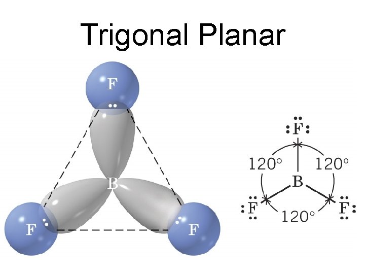 Trigonal Planar 