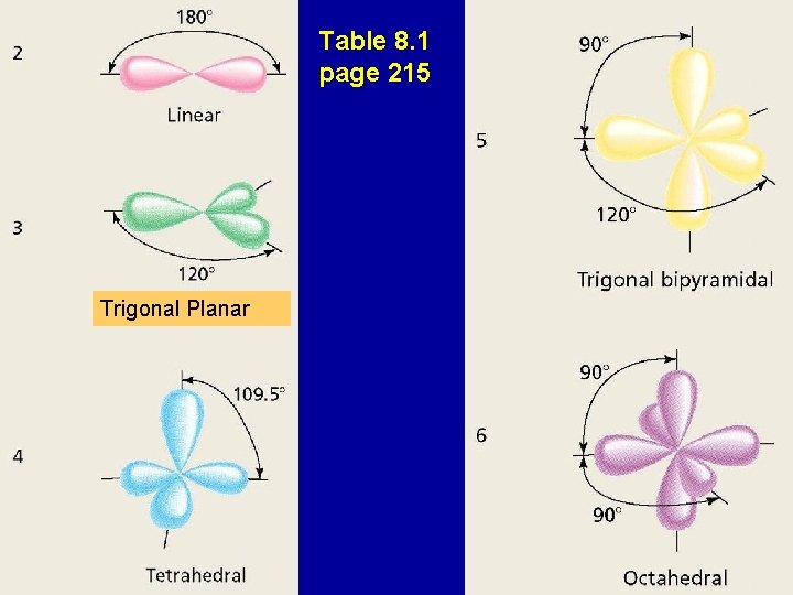 Table 8. 1 page 215 Trigonal Planar 