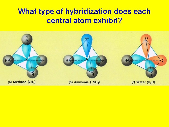 What type of hybridization does each central atom exhibit? 