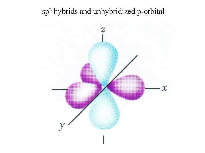 sp 2 hybrids and unhybridized p-orbital 