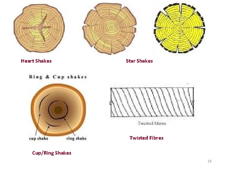 Heart Shakes Star Shakes Twisted Fibres Cup/Ring Shakes 15 