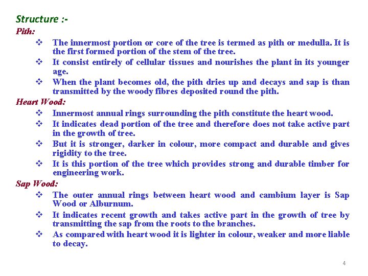 Structure : Pith: v The innermost portion or core of the tree is termed