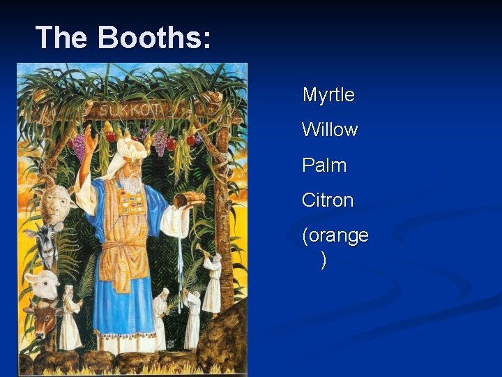 The Booths: Myrtle Willow Palm Citron (orange ) 