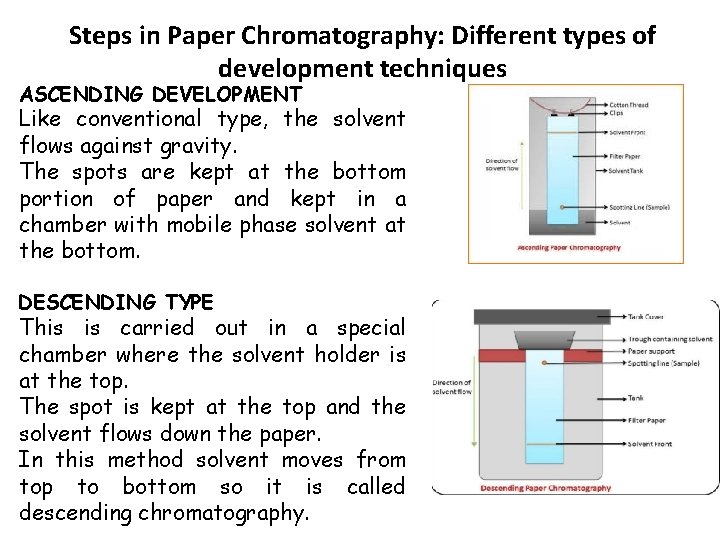 Steps in Paper Chromatography: Different types of development techniques ASCENDING DEVELOPMENT Like conventional type, Steps in Paper Chromatography: Different types of development techniques ASCENDING DEVELOPMENT Like conventional type,