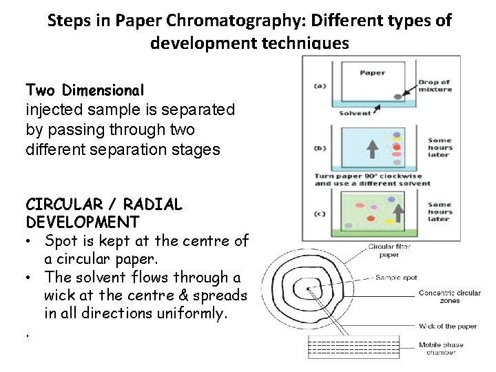 Steps in Paper Chromatography: Different types of development techniques Two Dimensional injected sample is Steps in Paper Chromatography: Different types of development techniques Two Dimensional injected sample is