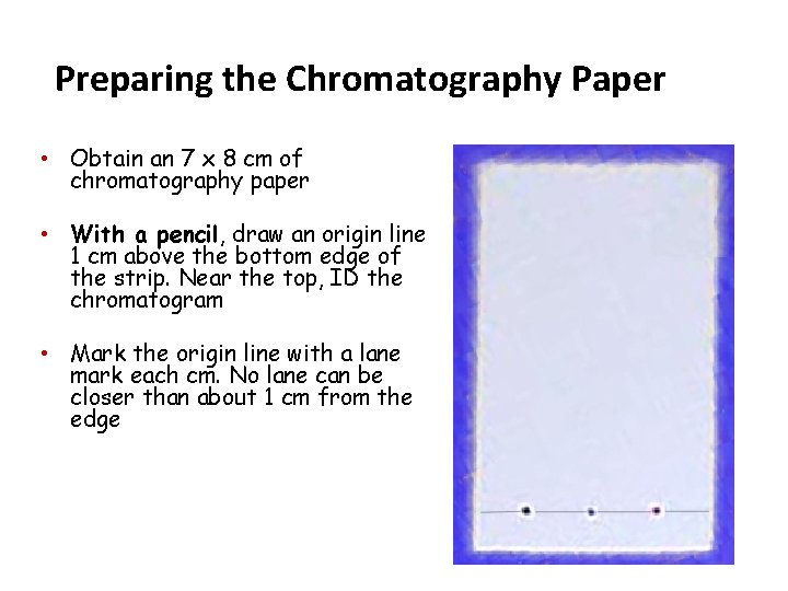 Preparing the Chromatography Paper • Obtain an 7 x 8 cm of chromatography paper Preparing the Chromatography Paper • Obtain an 7 x 8 cm of chromatography paper