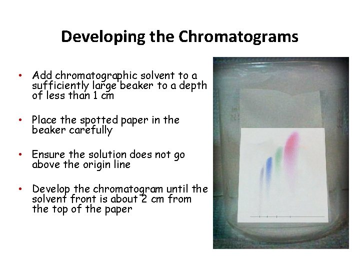 Developing the Chromatograms • Add chromatographic solvent to a sufficiently large beaker to a Developing the Chromatograms • Add chromatographic solvent to a sufficiently large beaker to a