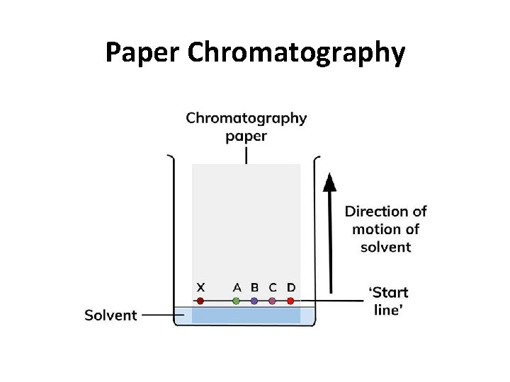 Paper Chromatography  Paper Chromatography