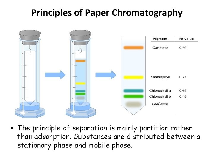 Principles of Paper Chromatography • The principle of separation is mainly partition rather than Principles of Paper Chromatography • The principle of separation is mainly partition rather than