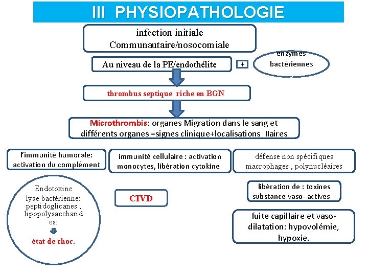 III PHYSIOPATHOLOGIE infection initiale Communautaire/nosocomiale Au niveau de la PE/endothélitee + enzymes bactériennes s
