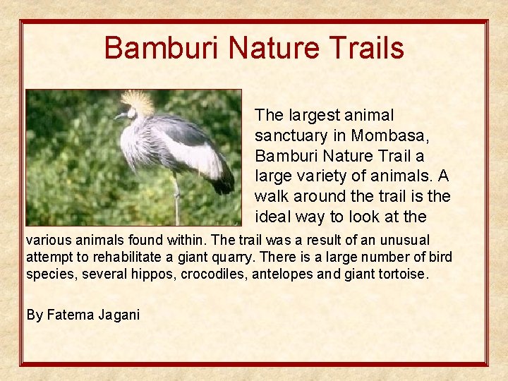 Bamburi Nature Trails The largest animal sanctuary in Mombasa, Bamburi Nature Trail a large