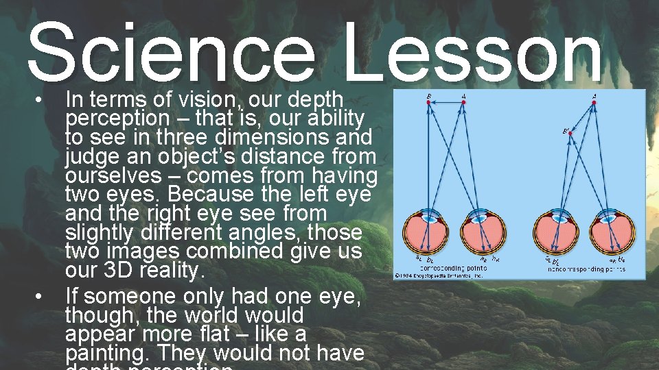 Science Lesson • In terms of vision, our depth perception – that is, our