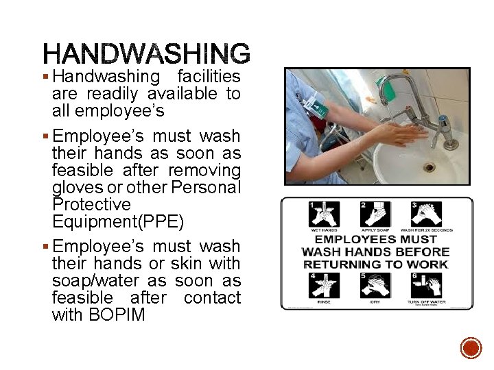 § Handwashing facilities are readily available to all employee’s § Employee’s must wash their