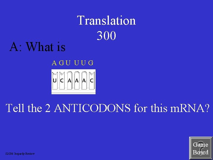 A: What is Translation 300 AGU UUG Tell the 2 ANTICODONS for this m.