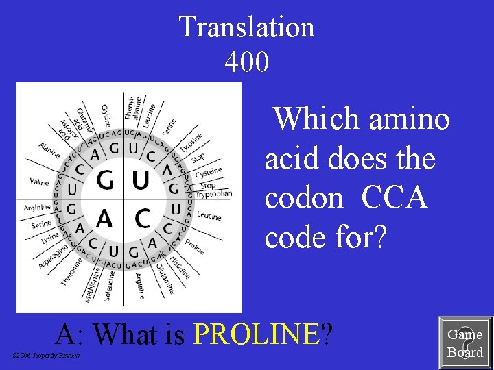 Translation 400 Which amino acid does the codon CCA code for? A: What is