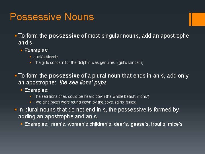 Lesson 12 The Long Bike Ride Possessive Nouns