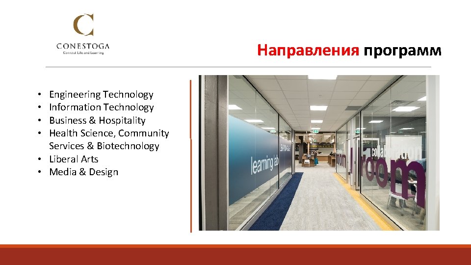 Направления программ Engineering Technology Information Technology Business & Hospitality Health Science, Community Services &