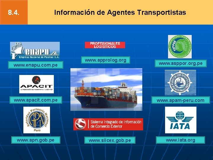8. 4. Información de Agentes Transportistas www. enapu. com. pe www. approlog. org www.