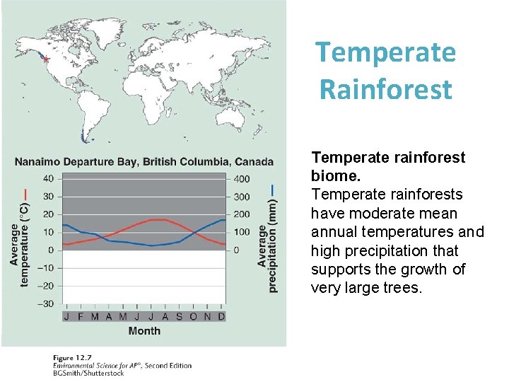 Temperate Rainforest Temperate rainforest biome. Temperate rainforests have moderate mean annual temperatures and high