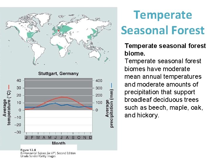 Temperate Seasonal Forest Temperate seasonal forest biomes have moderate mean annual temperatures and moderate
