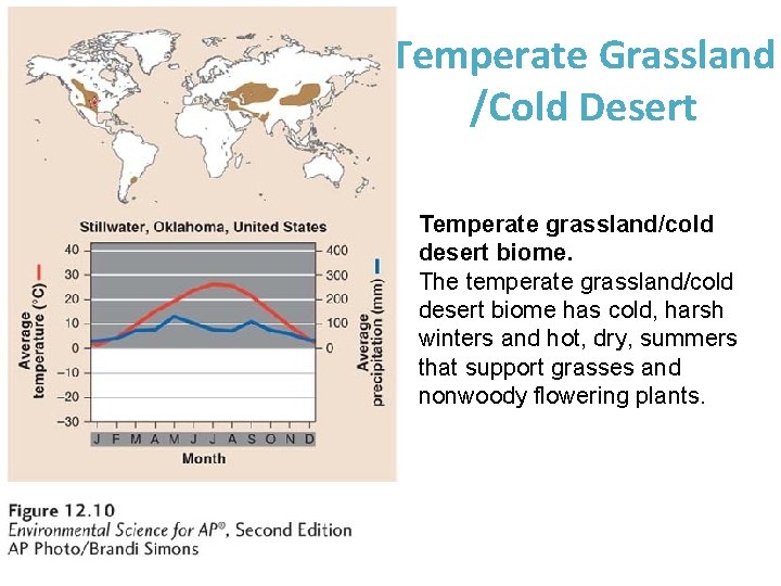 Temperate Grassland /Cold Desert Temperate grassland/cold desert biome. The temperate grassland/cold desert biome has