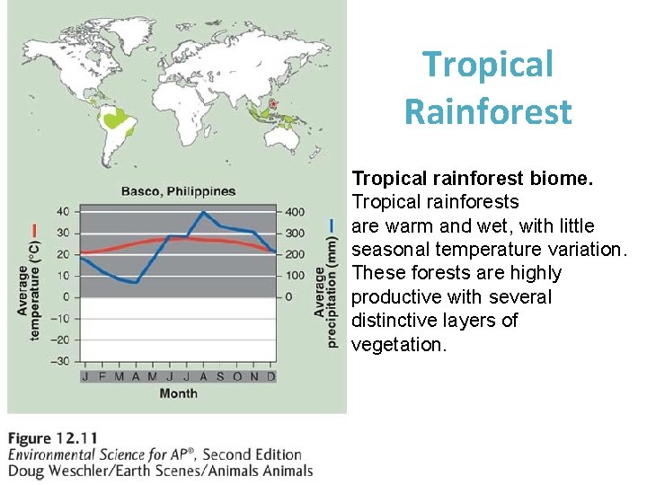 Tropical Rainforest Tropical rainforest biome. Tropical rainforests are warm and wet, with little seasonal