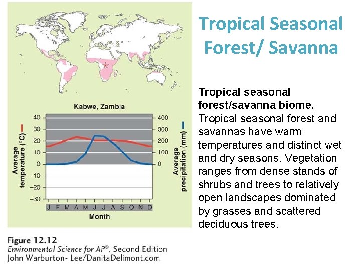 Tropical Seasonal Forest/ Savanna Tropical seasonal forest/savanna biome. Tropical seasonal forest and savannas have