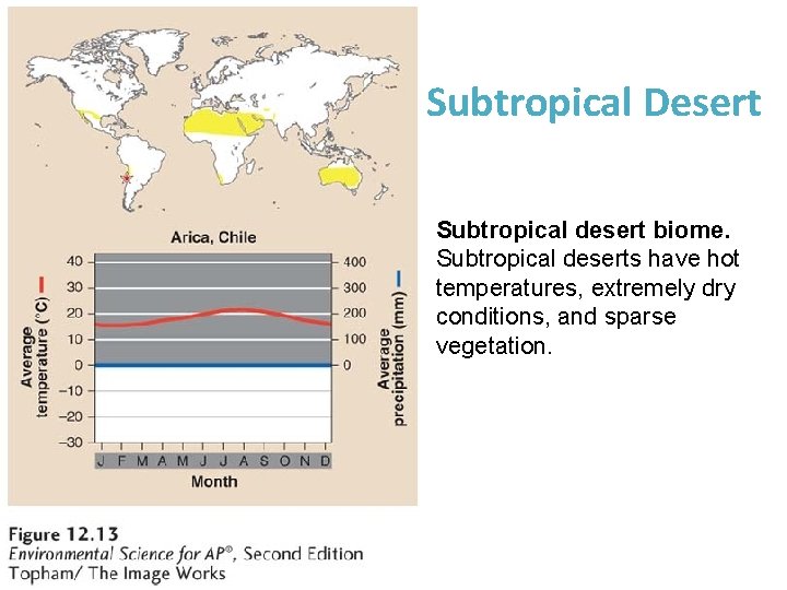 Subtropical Desert Subtropical desert biome. Subtropical deserts have hot temperatures, extremely dry conditions, and