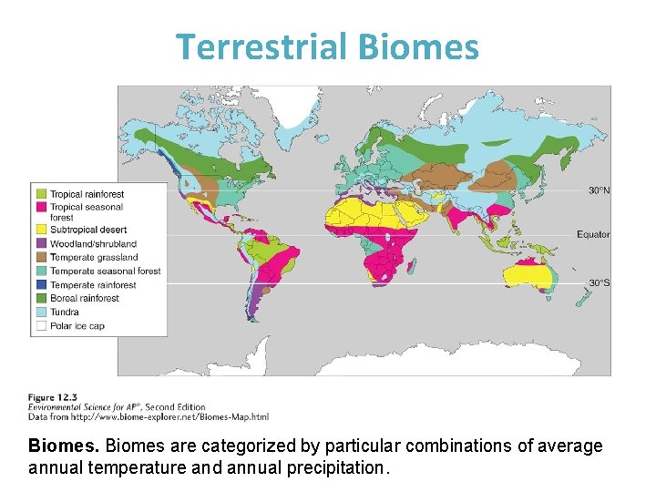 Terrestrial Biomes are categorized by particular combinations of average annual temperature and annual precipitation.