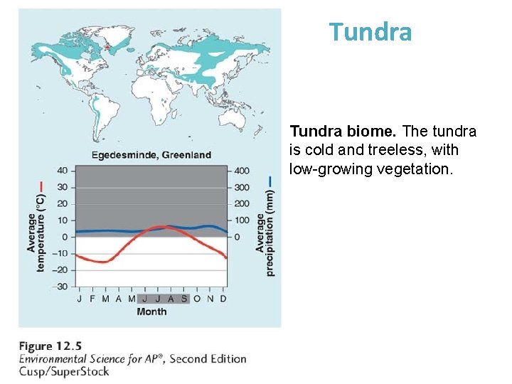 Tundra biome. The tundra is cold and treeless, with low-growing vegetation. 
