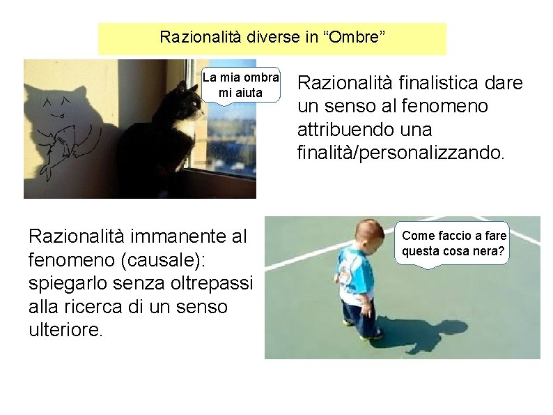 Razionalità diverse in “Ombre” La mia ombra mi aiuta Razionalità immanente al fenomeno (causale):